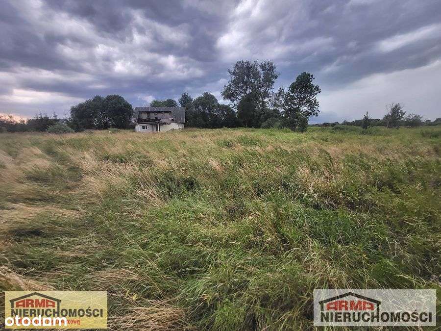 Działka Rolna W Rurzycy - Pełny obrazek: 4/10