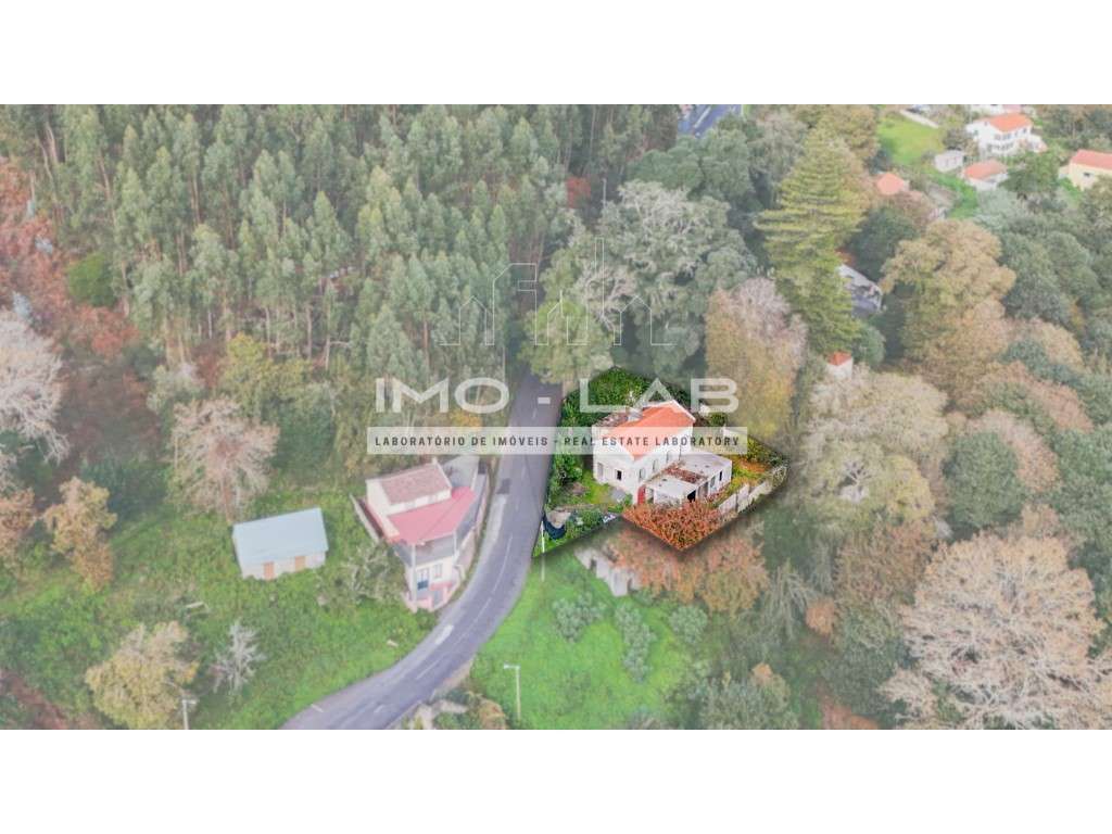 Villa T2 + T1 - Camacha - Ilha da Madeira - Grande imagem: 3/38