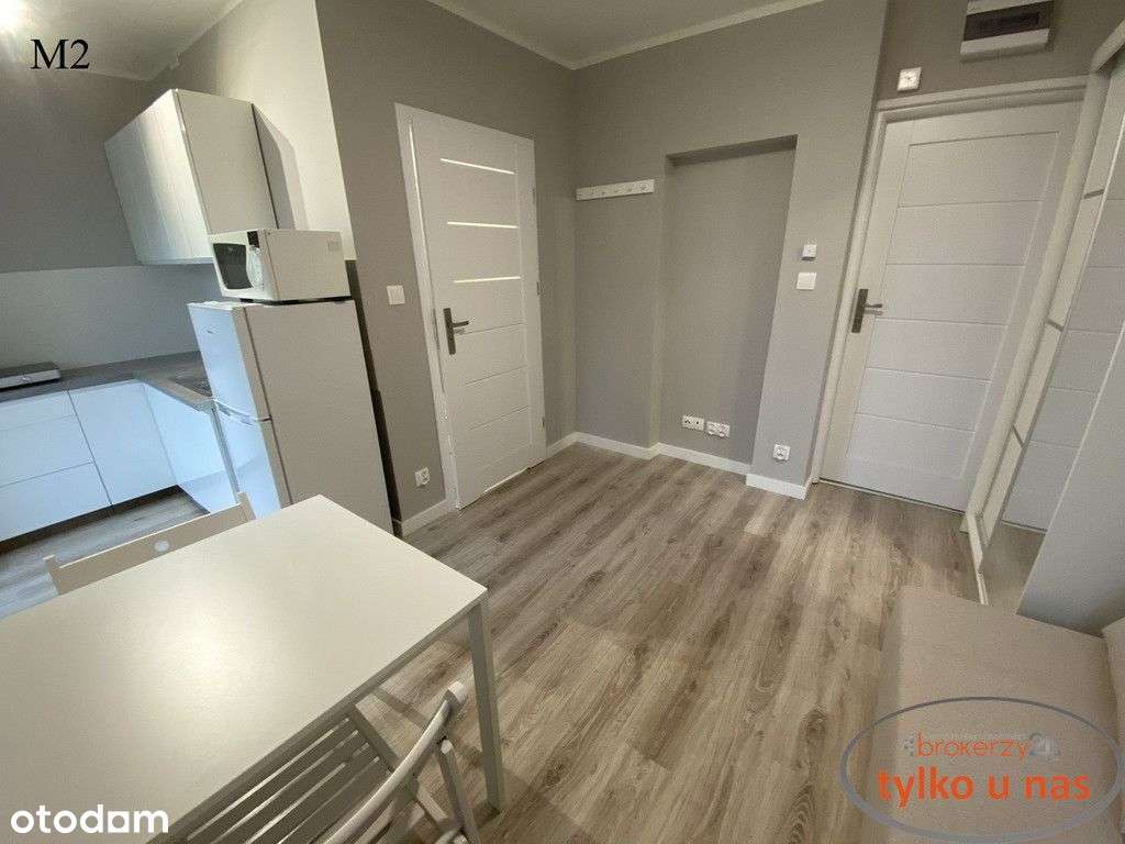 Mikrokawalerka Na Zielonym Dębcu - Pełny obrazek: 4/11