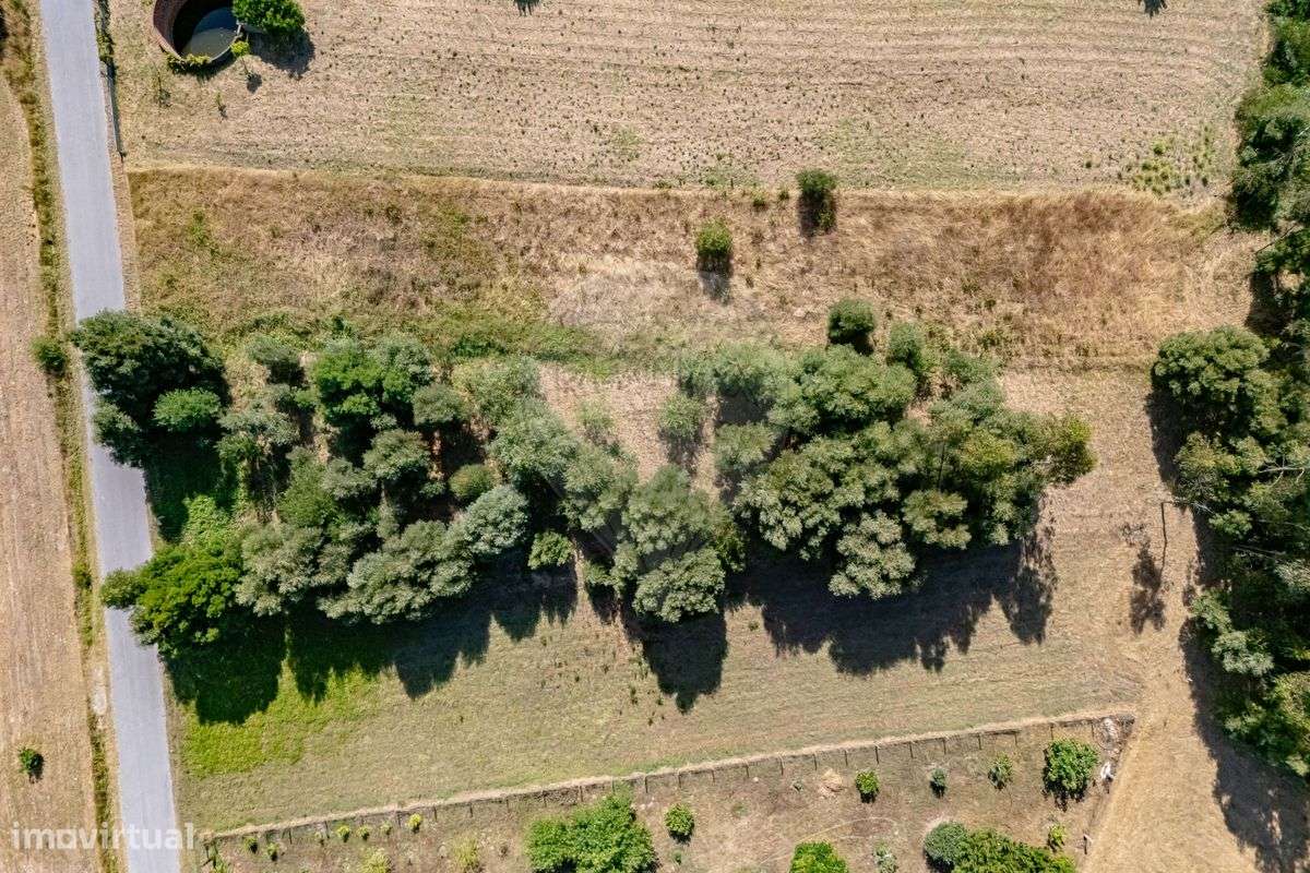 Terreno  para venda - Grande imagem: 4/15