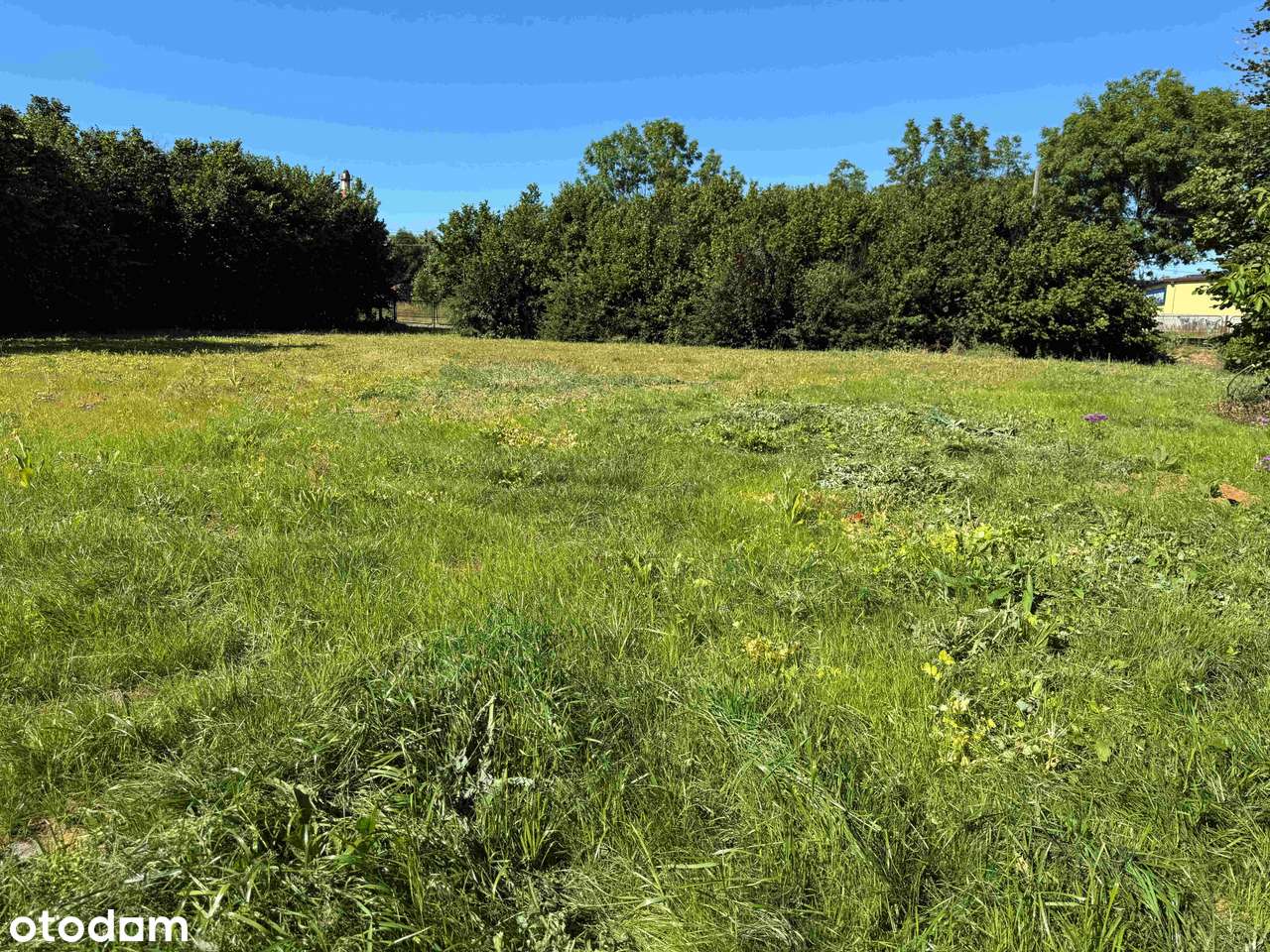 Atrakcyjna działka w dobrej lokalizacji - Pełny obrazek: 2/8