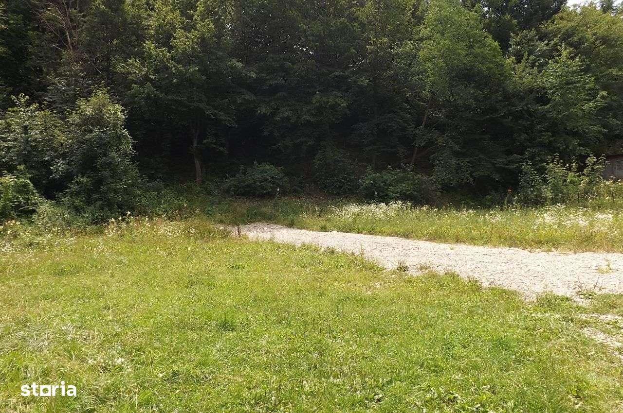 Teren de vanzare - Imagine principală: 3/7