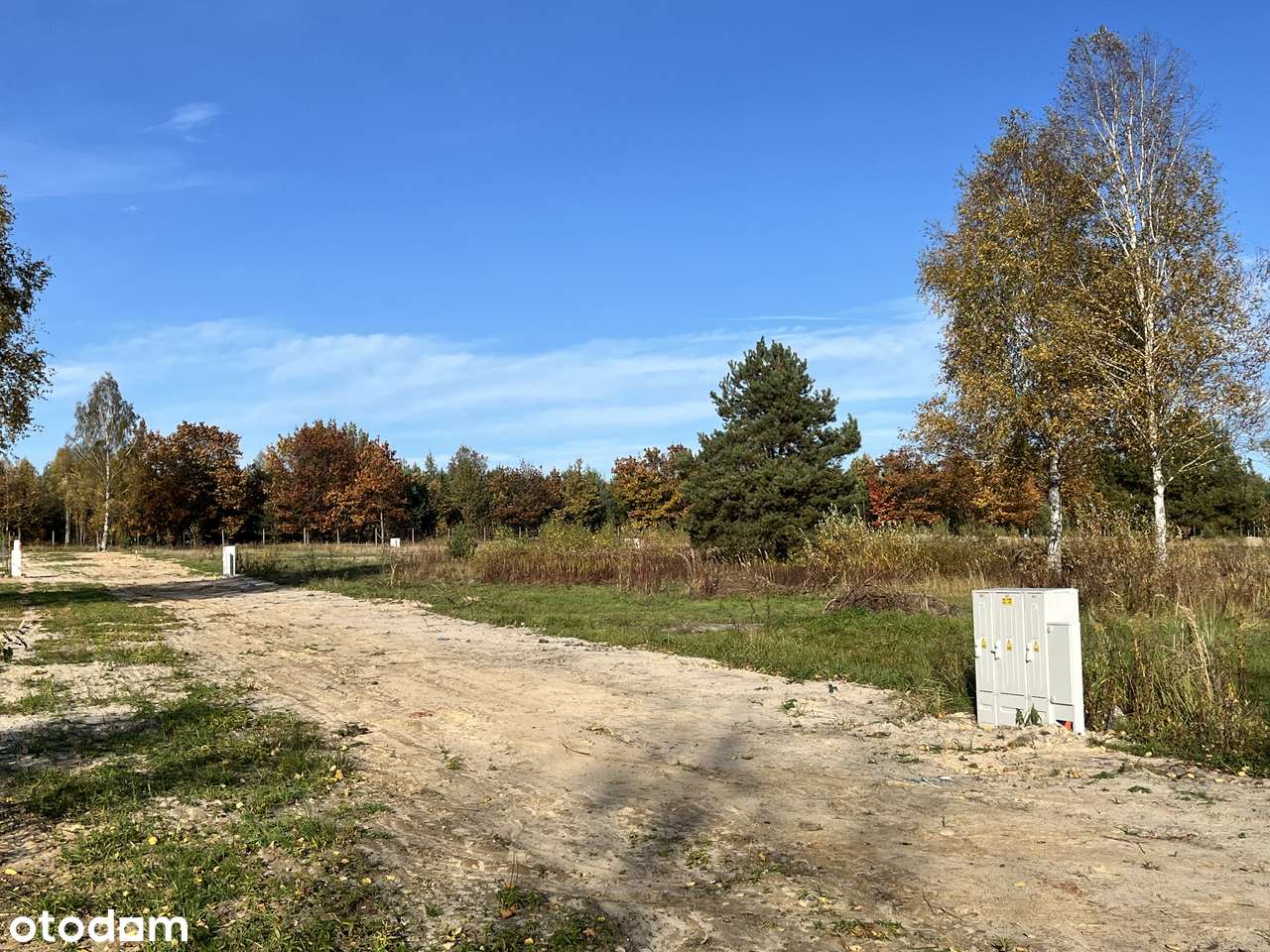 Olszyna - "LEŚNY ZAKĄTEK"-9