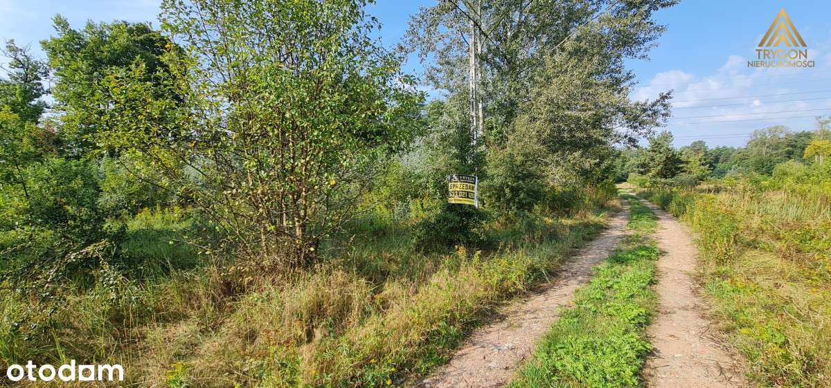 Atrakcyjna działka z linią brzegową, wydane WZ - Pełny obrazek: 4/13