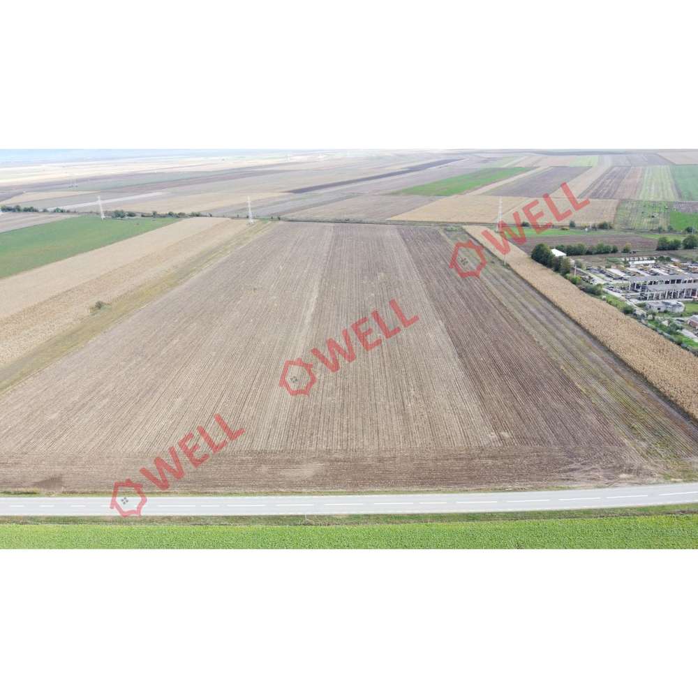 Teren intravilan de vânzare la 3 km de sensul giratoriu din Chilieni! - Imagine principală: 4/4