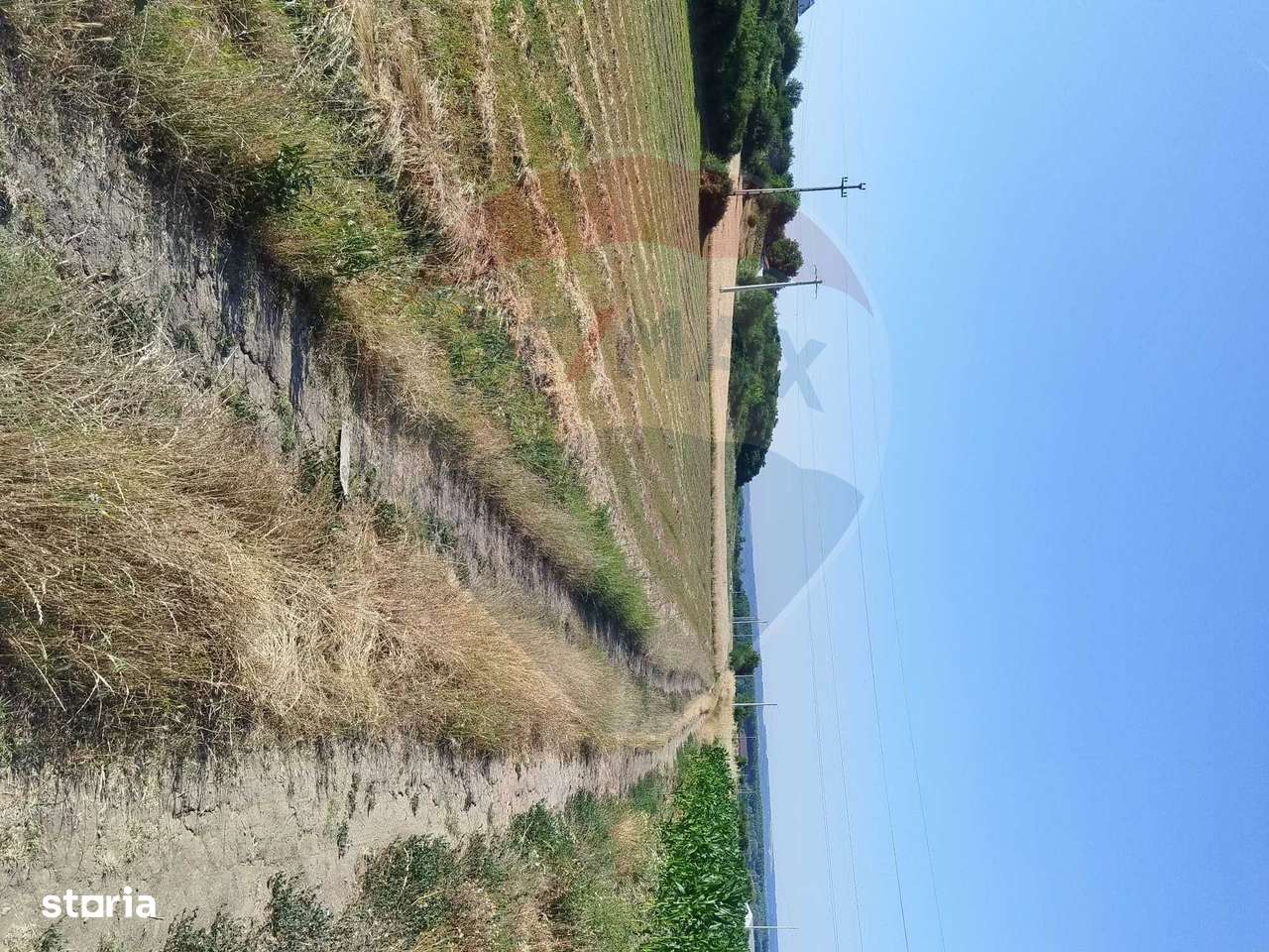 Teren 2,000mp Bradesti / None - Imagine principală: 1/4