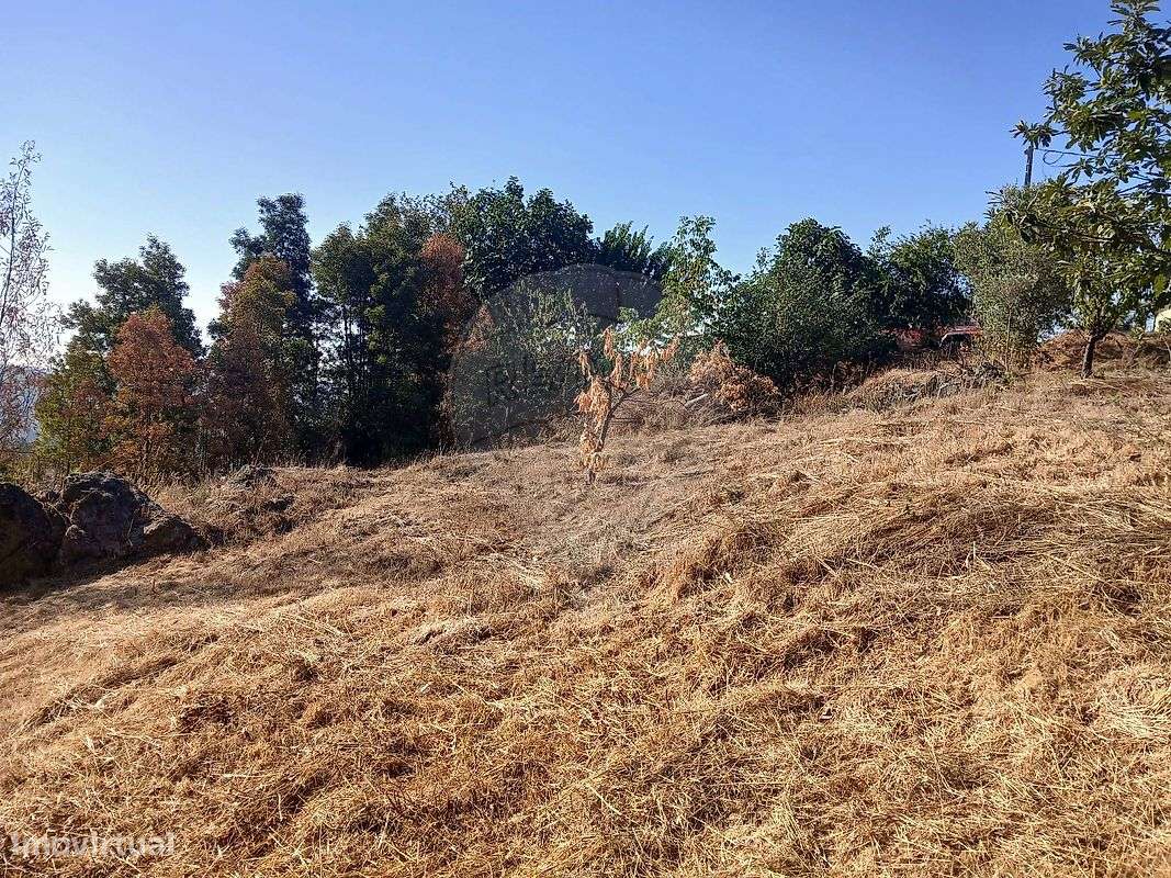 Terreno  para venda - Grande imagem: 5/7