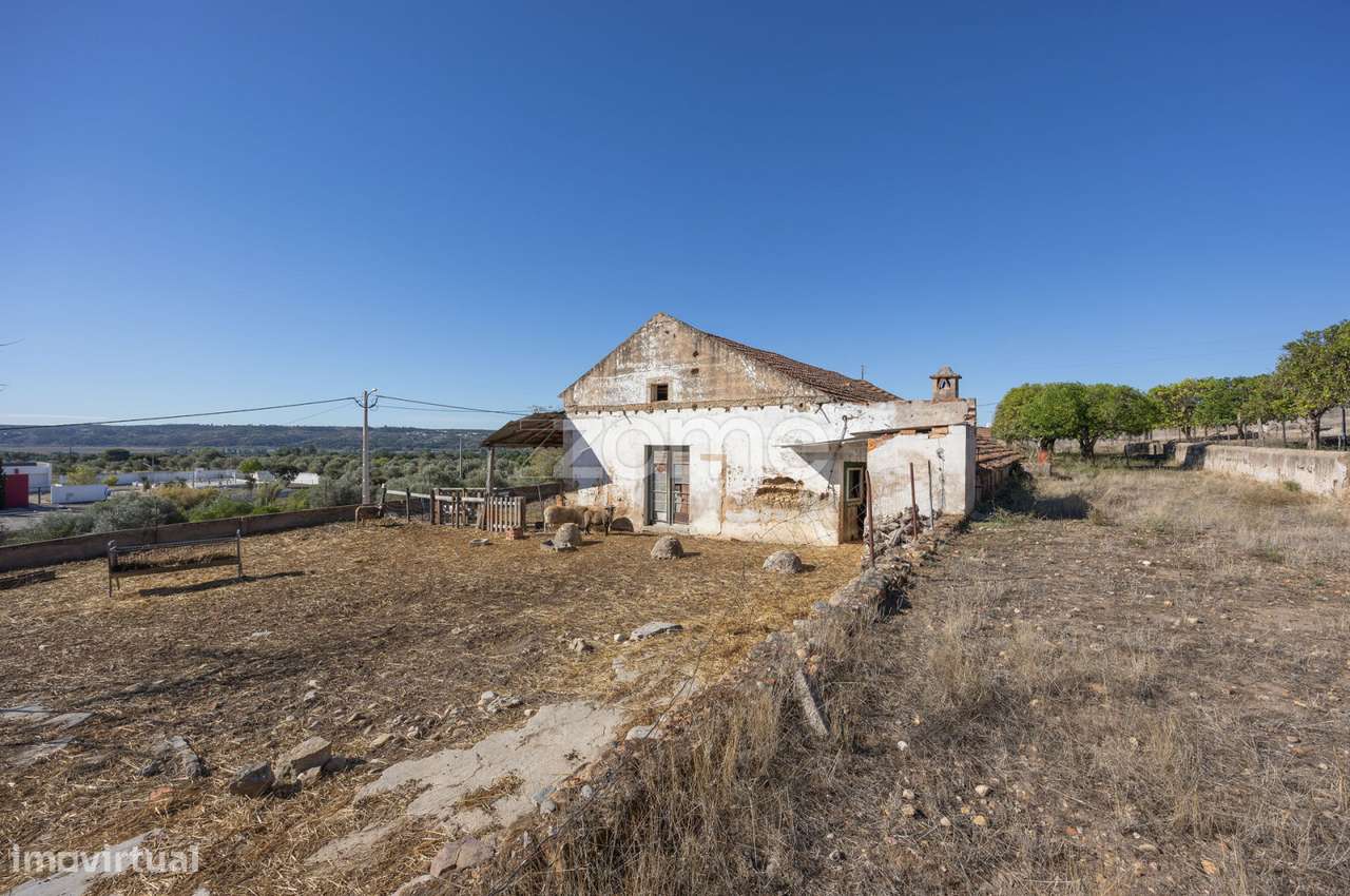 Lagar || Montalvo, Constância-15