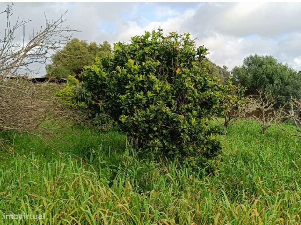 LHL1940 - Terreno urbano, para construção habitação de 880m2 + cave-11