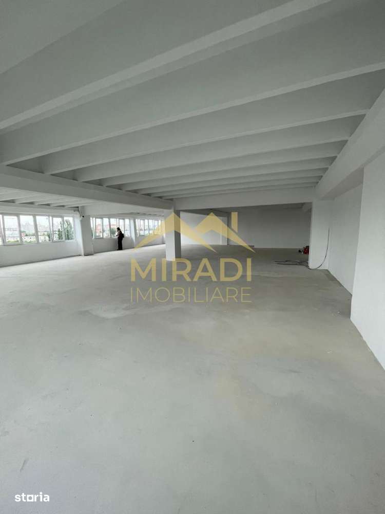 Vanzari Spatii Industriale Theodor Pallady - Imagine principală: 4/12