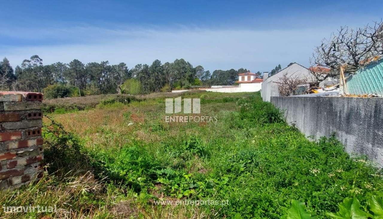 Venda de terreno com 996m², Alvarães, Viana do Castelo - Grande imagem: 4/30