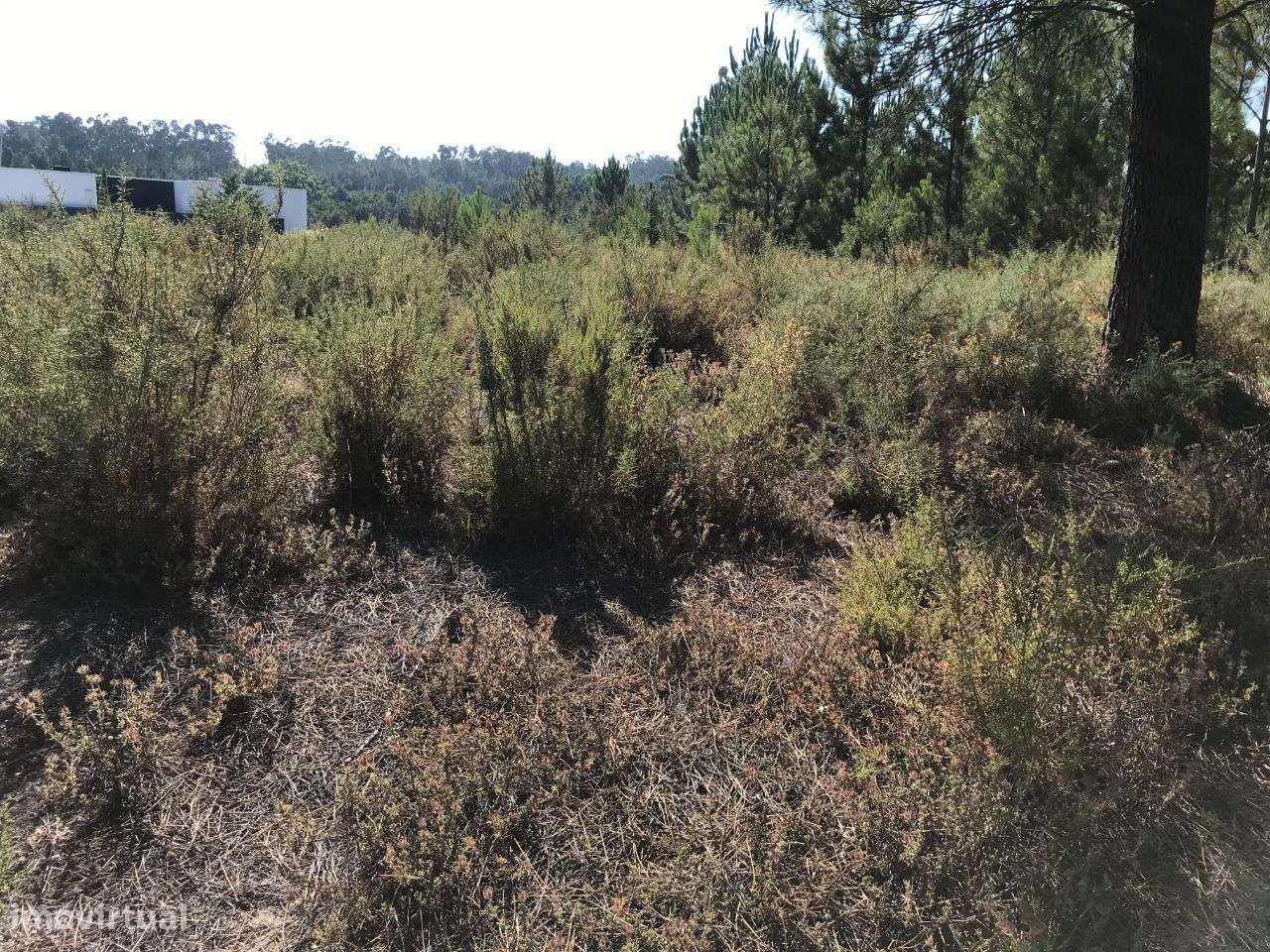 Lote na urbanização Jardins S. Miguel á venda-6