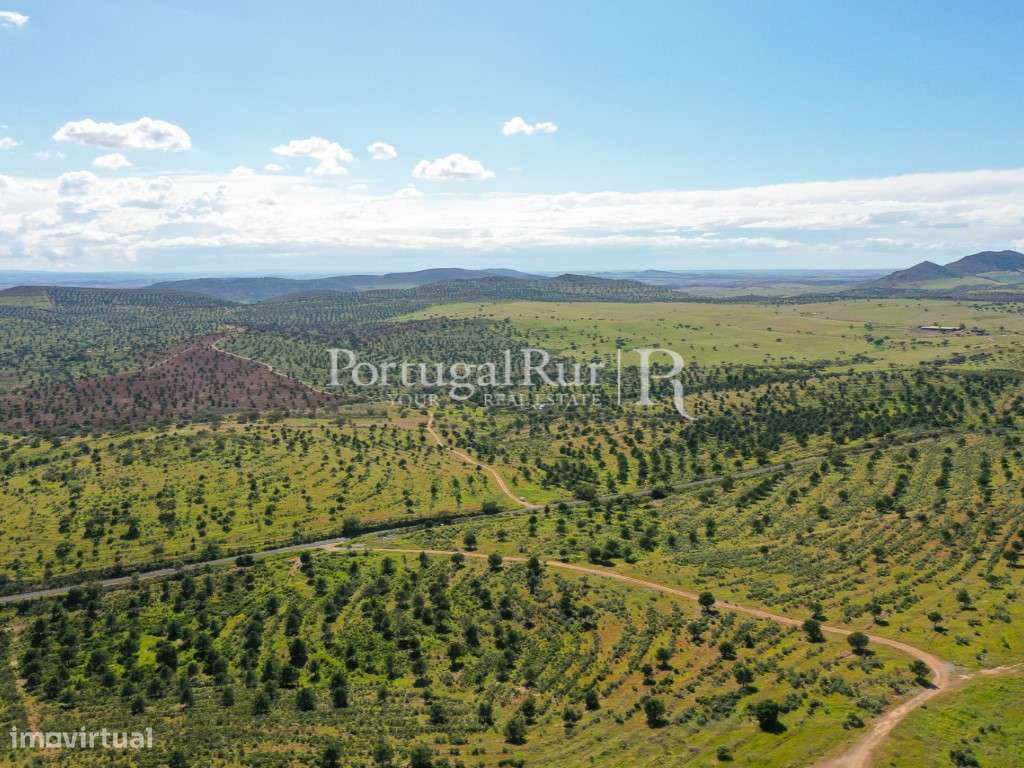 Herdades de Caça com 1300 Hectares, junto do rio Guadiana-5