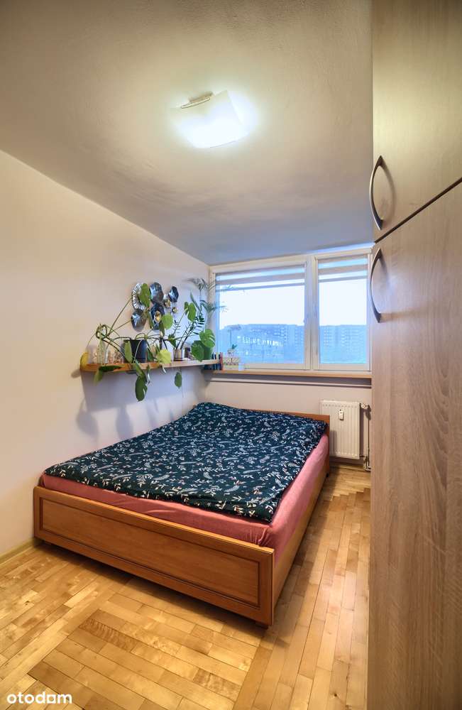 Różanka - 2 pkojowe na sprzedaż!-3