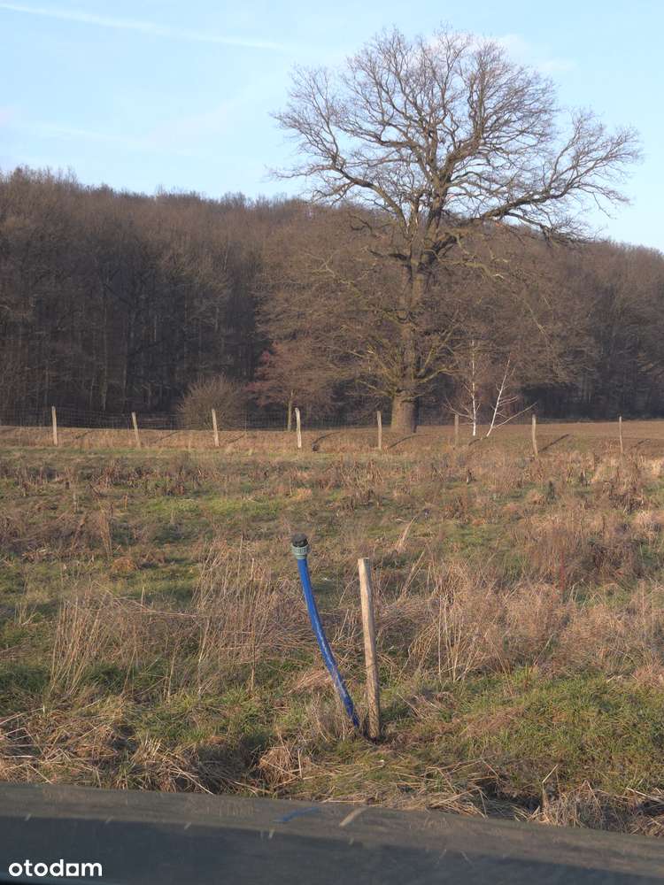 Działka budowlana z projektem i pozwoleniem na budowę.-3