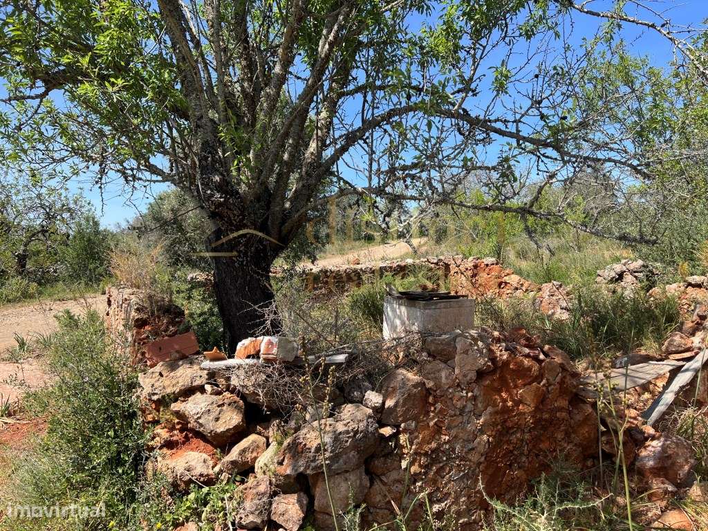 Terreno com Ruina Geminada de 117m2 voltado a Sul ! - Grande imagem: 4/24