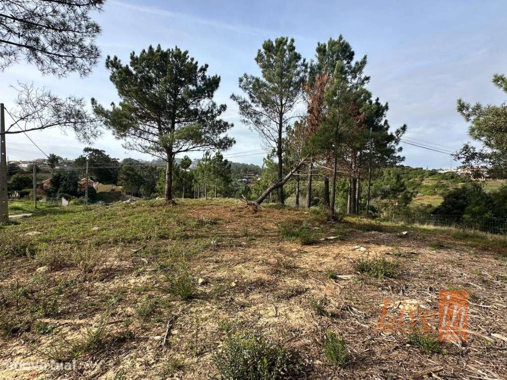 Terreno para Construção com 1.900 m² em Mafra - Grande imagem: 4/14