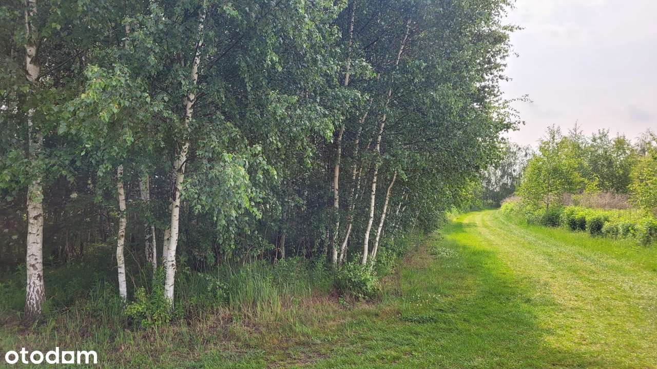 Działka budowlana 850m2 z MPZP - Dachowa gm. Kórnik, - Pełny obrazek: 4/8