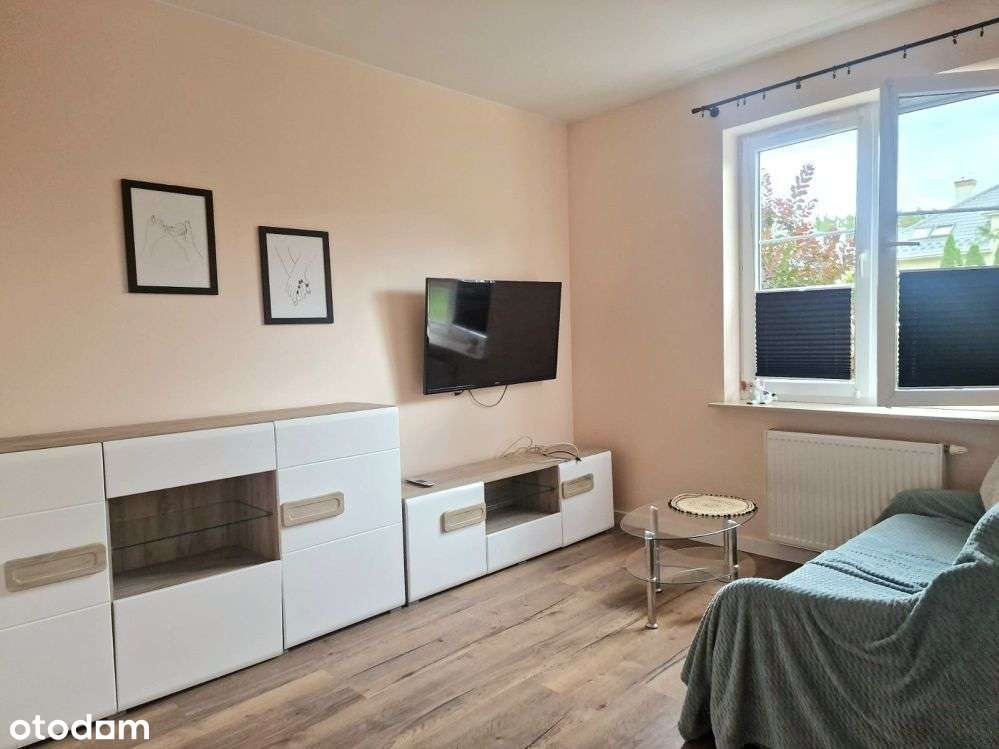 parter w segmencie,piękny ogród - Pełny obrazek: 5/16