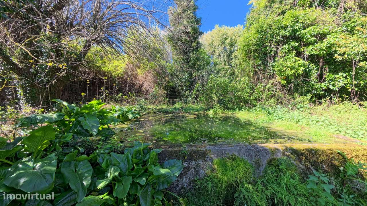 Propriedade para recuperação em Viseu-16