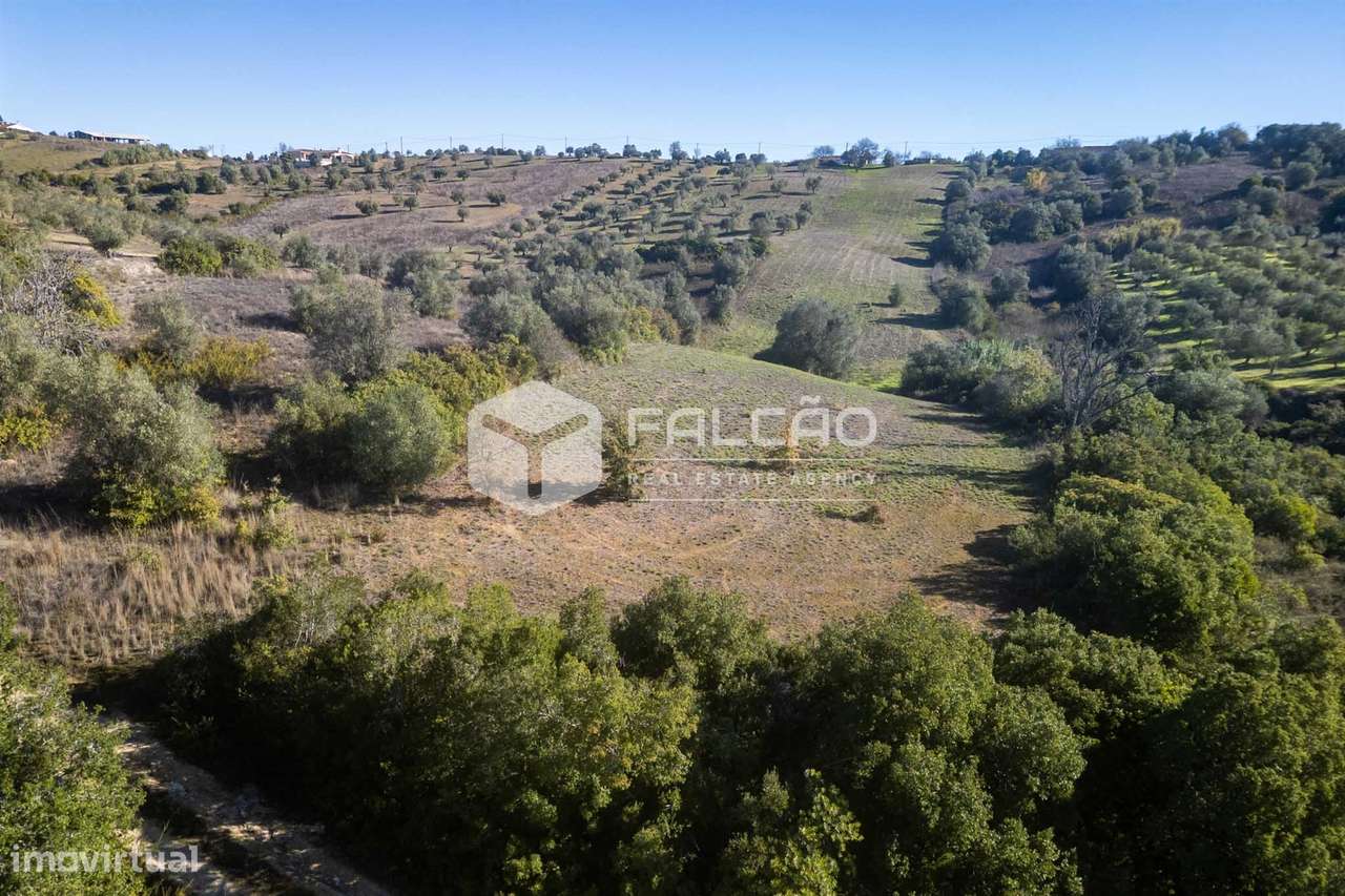 Terreno Para Construção  Venda em Moçarria,Santarém-3