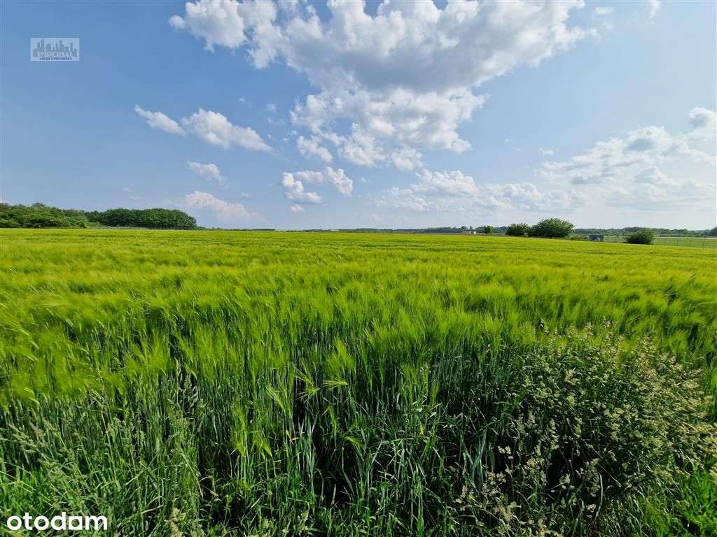 Mieszkanie*Hotel*Pensjonat*Korty*Kręgielnia-4