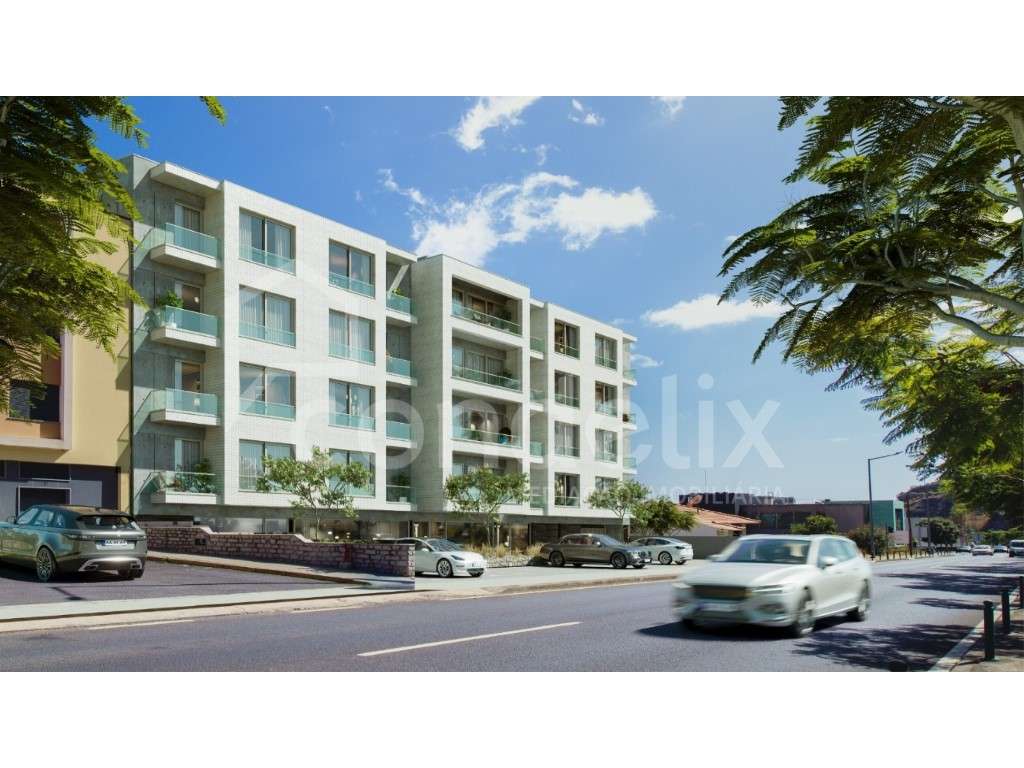 Apartamento T1 Novo na Ribeira Brava - Grande imagem: 5/22