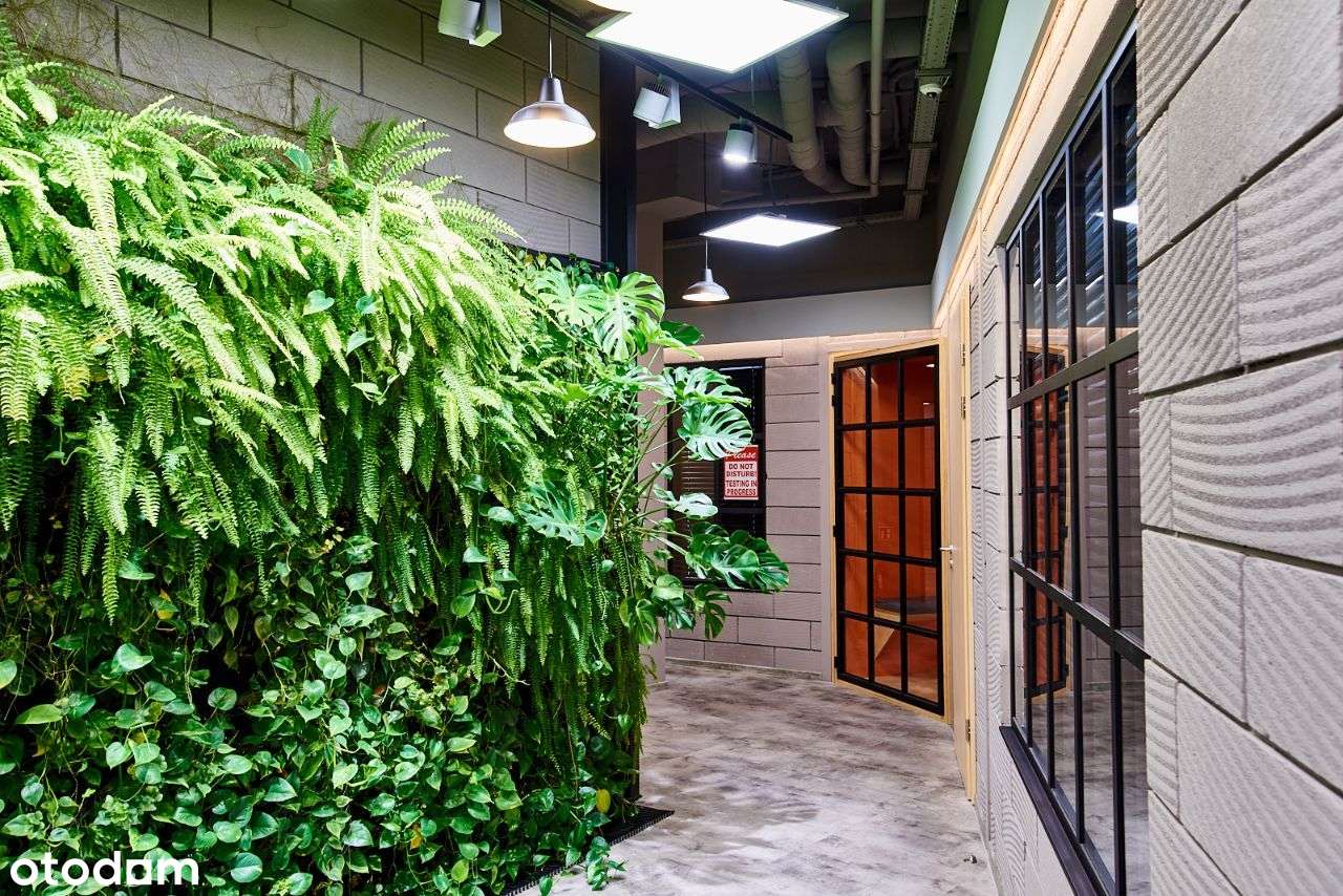 Biurowiec - Lublin - Gęsia 5 - Pełny obrazek: 5/18