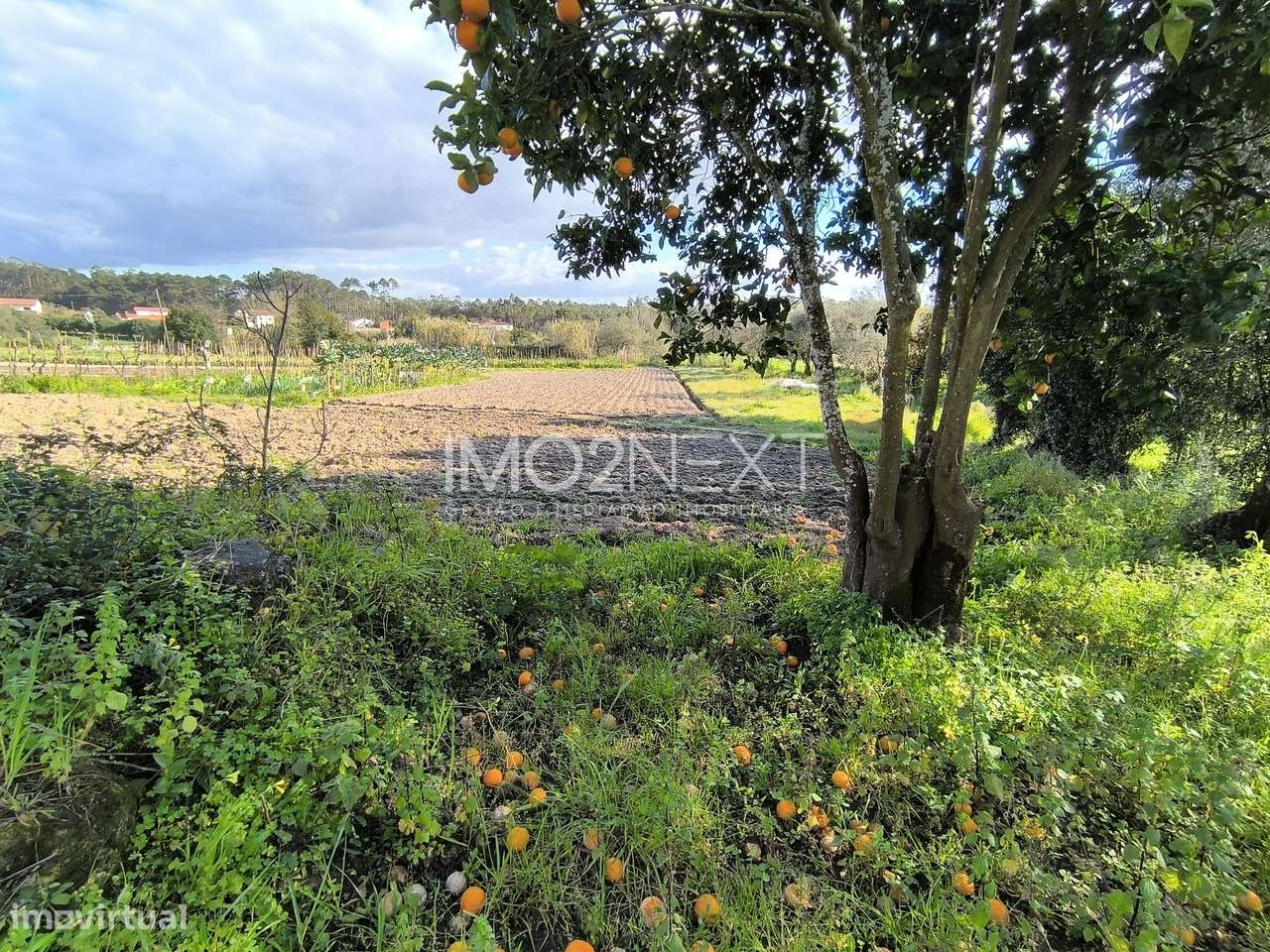 MORADIA ISOLADA || MONTE AGUDO || SOUTO DA CARPALHOSA || LEIRIA-5