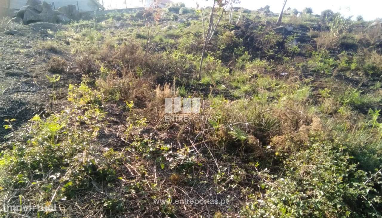 Lote de terreno para venda, Loivo, Vila Nova de Cerveira - Grande imagem: 4/8
