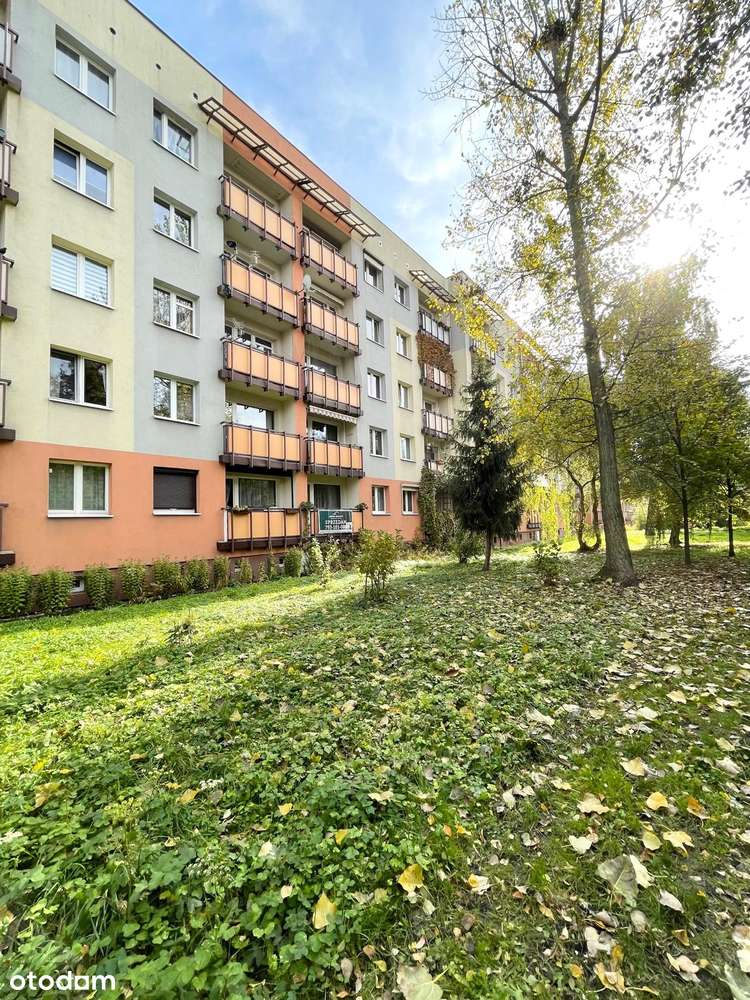 3 pokoje w świetnej lokalizacji, Katowice-Bogucice-13