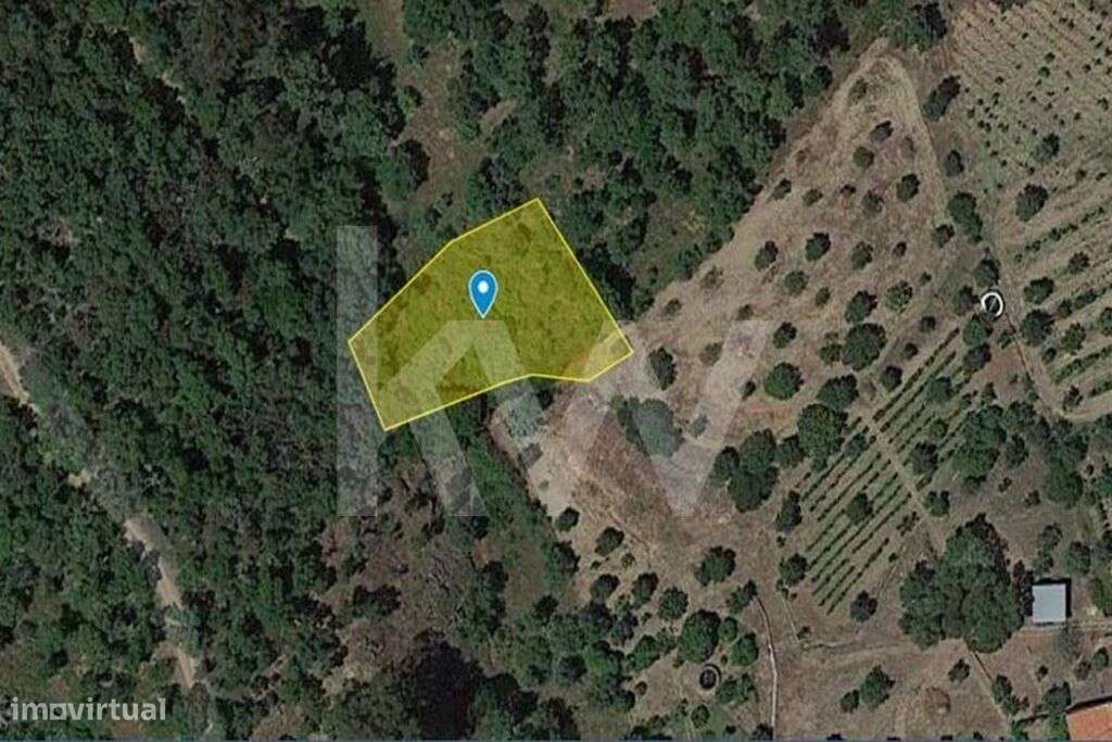 Terreno Rústico | 1.240 m2  |  Sardoal, Valhascos - Grande imagem: 4/5