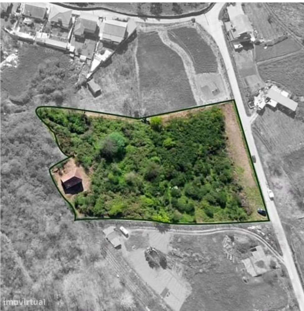 Moradia Devoluta T4+2 Venda em Baião (Santa Leocádia) e Mesquinhata,Ba - Grande imagem: 3/11