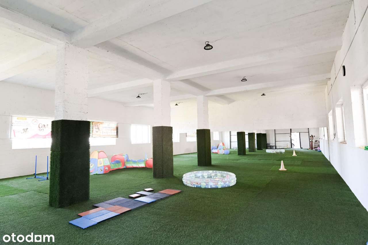 Nieruchomość z potencjałem inwestycyjnym - dom, hale, 1,42 ha ziemi-19