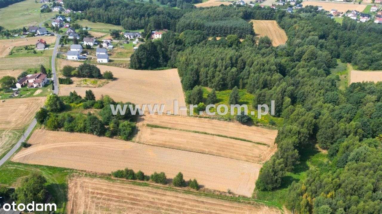 Atrakcyjna Działka W Sąsiedztwie Lasu-14