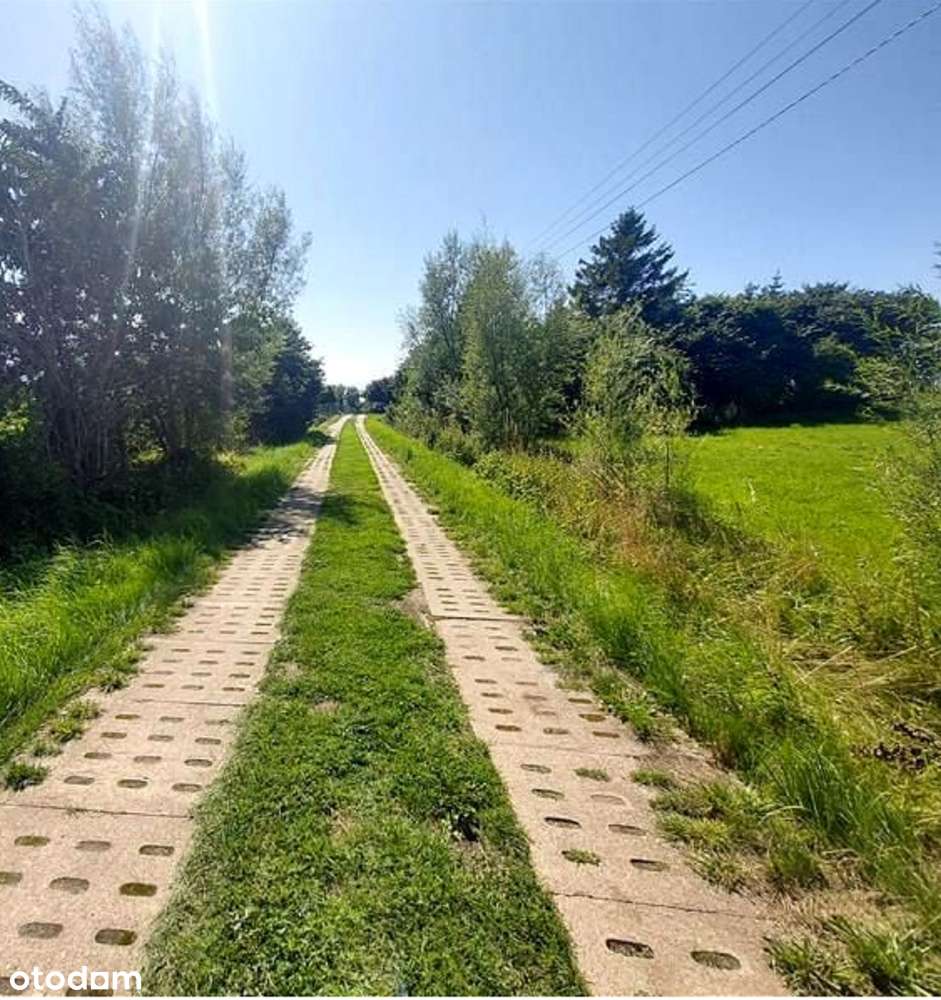 Sprzedam grunt rolny 4,55 ha wieś Kopnica gmina Darłowo - Pełny obrazek: 5/8