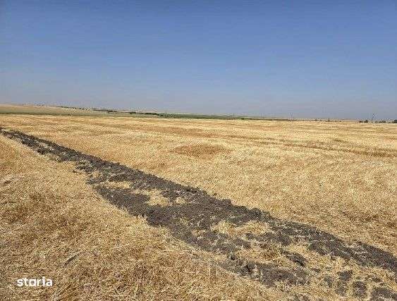 Teren extravilan Zimnicea cota parte 1/6 ID: R2688418 - Imagine principală: 1/9