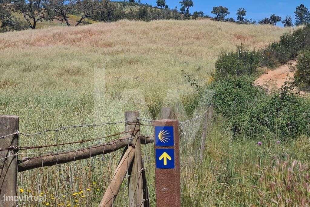 Herdade de 154 ha com ruína habitacional em Cubeiros de Cima, Relíquia - Grande imagem: 5/22