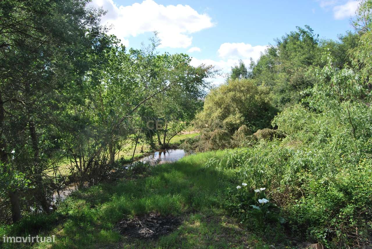 Terreno rústico 28200m2 em Vale do Junco, Chamusca, Golegã-34