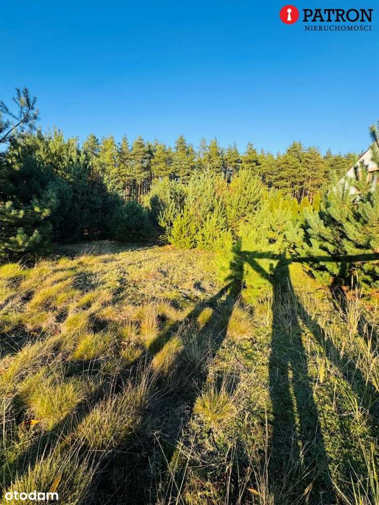 Sprzedam działkę o pow. 2 438 m² w Rurzycy-11