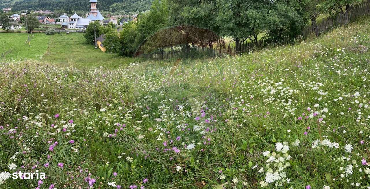 Teren 3,311mp Molid -Vama, Strada Stefan cel Mare, Suceava - Imagine principală: 2/8