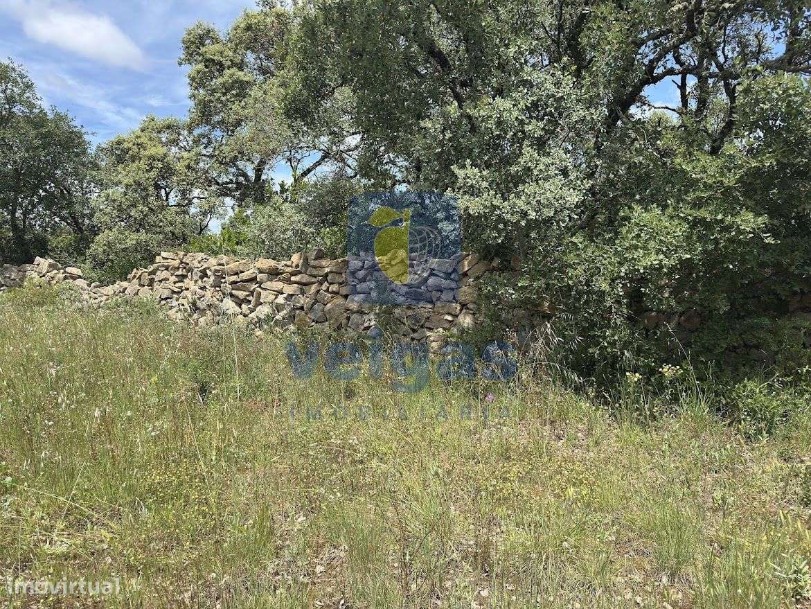 Terreno com 3.480m² em Fátima, área urbanizável de 1.000m2, com projet-11