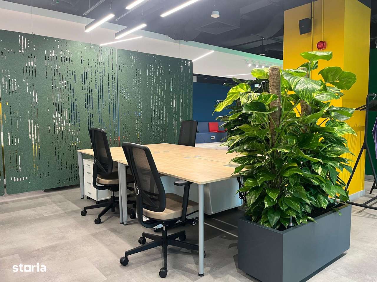 Birouri flexibile - Supertree Workspaces - Imagine principală: 5/11