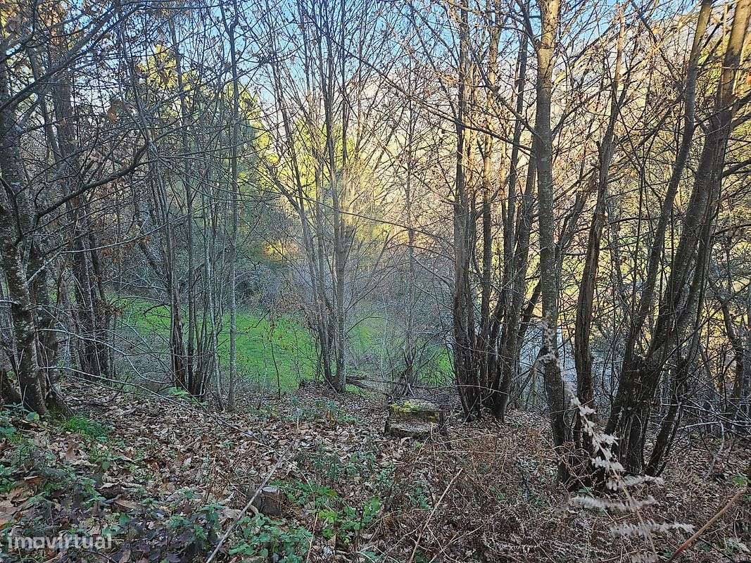 Terreno  para venda - Grande imagem: 3/6