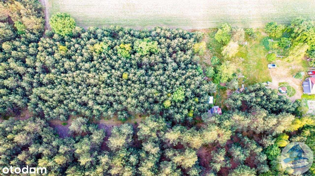 Cena 19 zł/m2 Działka z warunkami zabudowy! - Pełny obrazek: 4/18