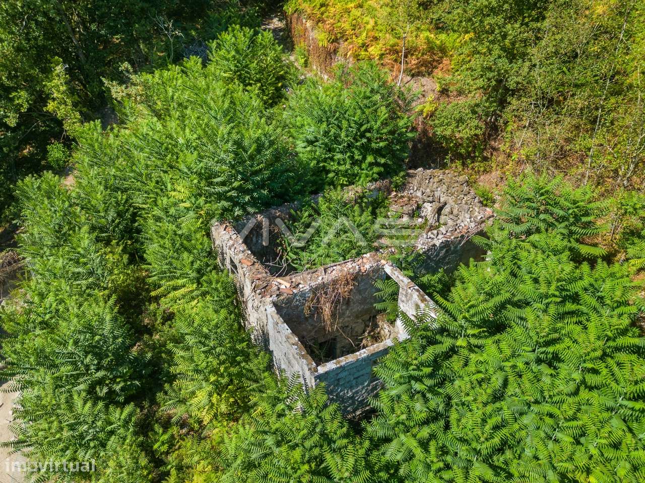 Moradia para Restaurar T0 Venda em Vade,Vila Verde - Grande imagem: 4/16