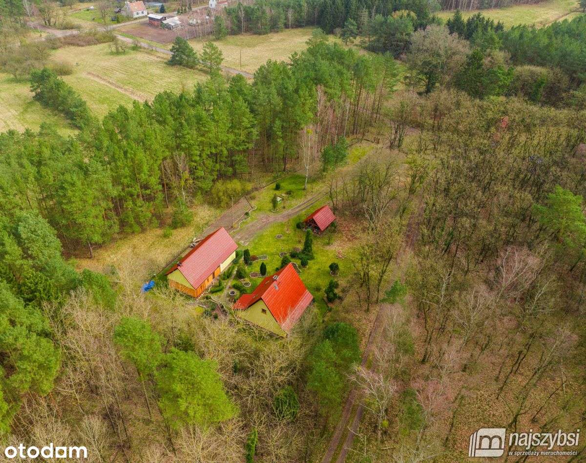 Stare Leśno - dom w sercu natury - Pełny obrazek: 4/20