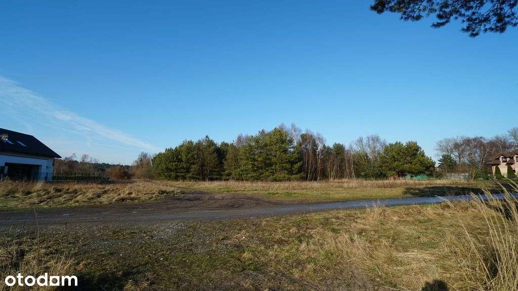 Piękna działka 3052m. Możliwość podziału. - Pełny obrazek: 2/3