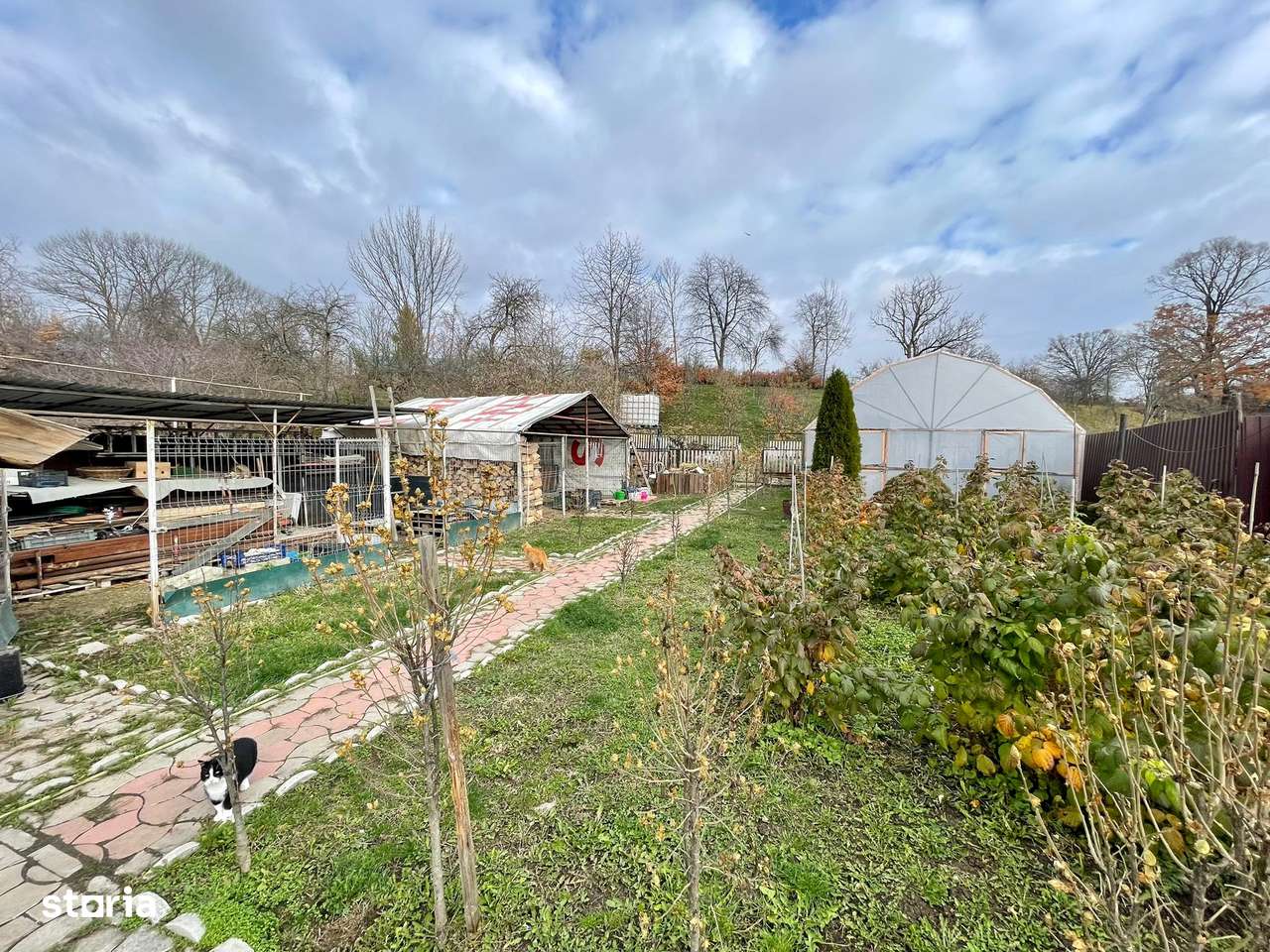 Casa de vanzare Sinca Veche-15