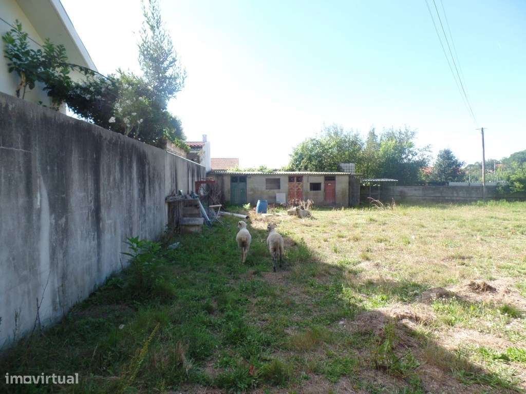 Terreno em Landim - Grande imagem: 4/10
